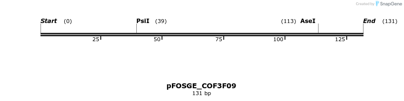 131606_map