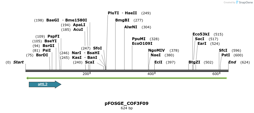 131607_map