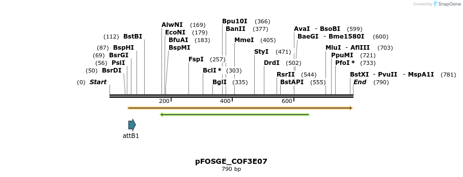 131608_map