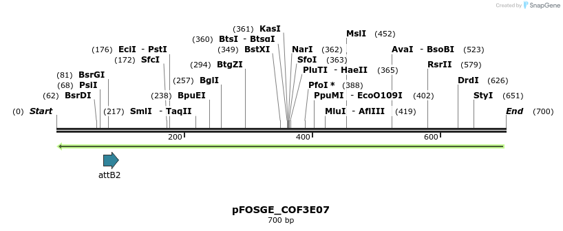 131609_map