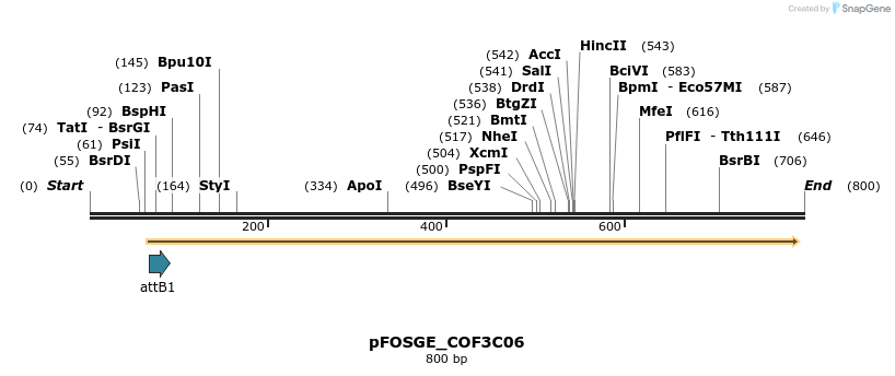 131610_map