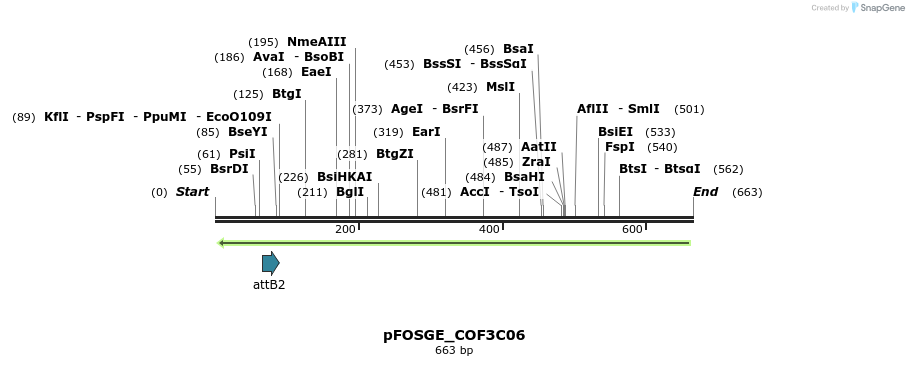 131611_map