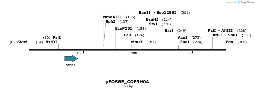 131613_map