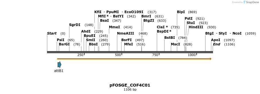 131614_map