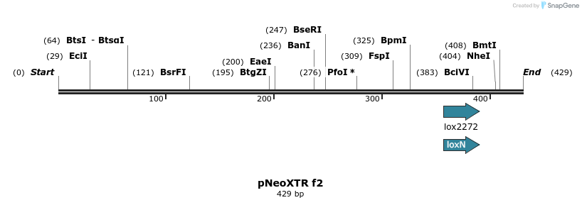 131616_map