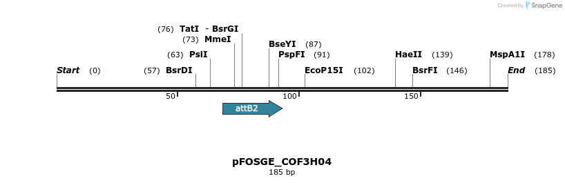 131618_map