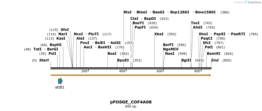 131620_map