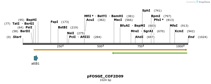 131621_map