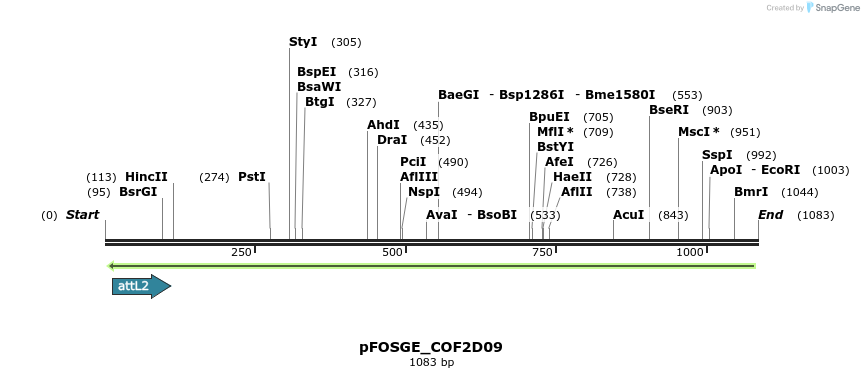 131623_map