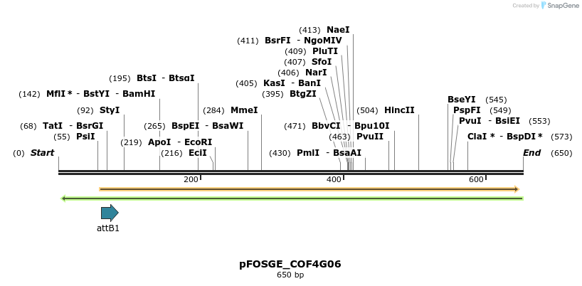 131625_map