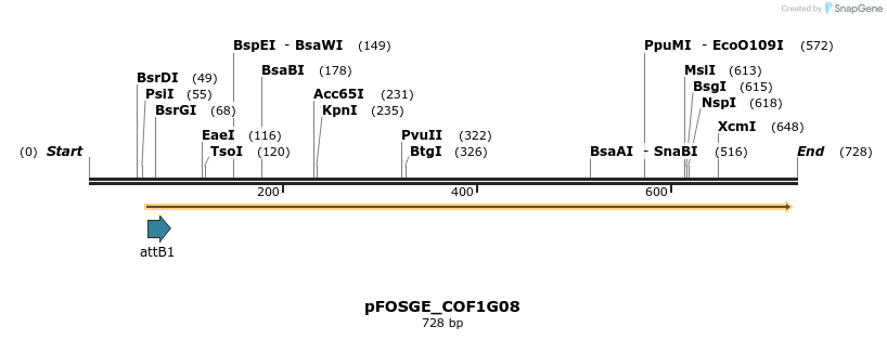 131628_map
