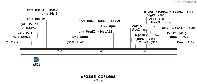 131629_map