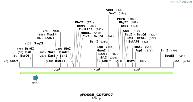 131636_map