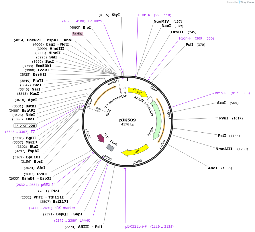 131673_map