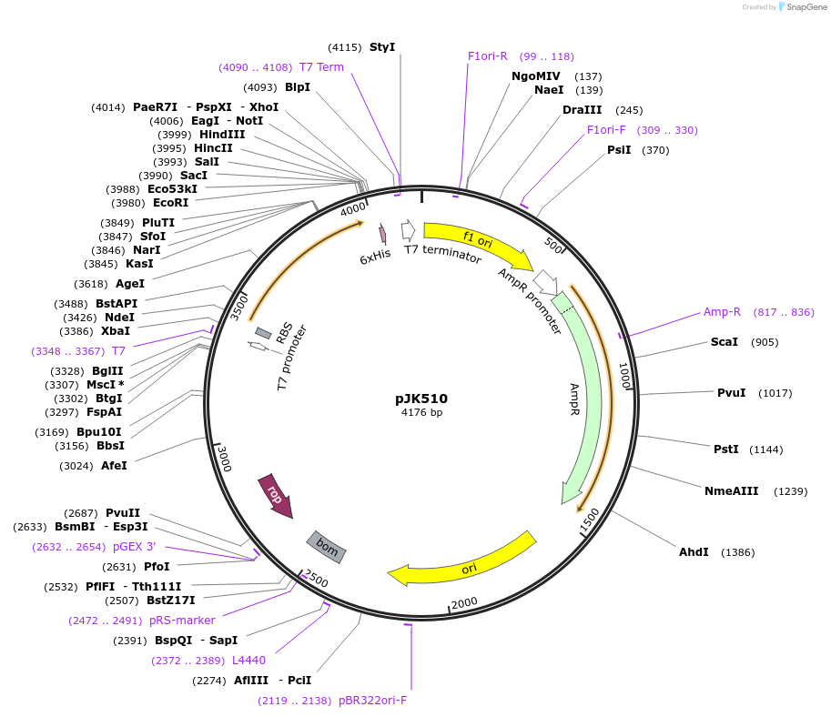 131674_map