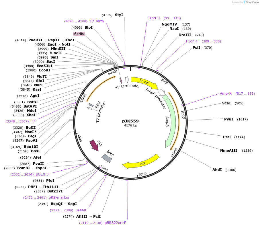 131677_map