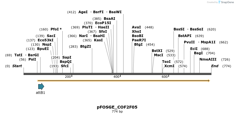 131678_map