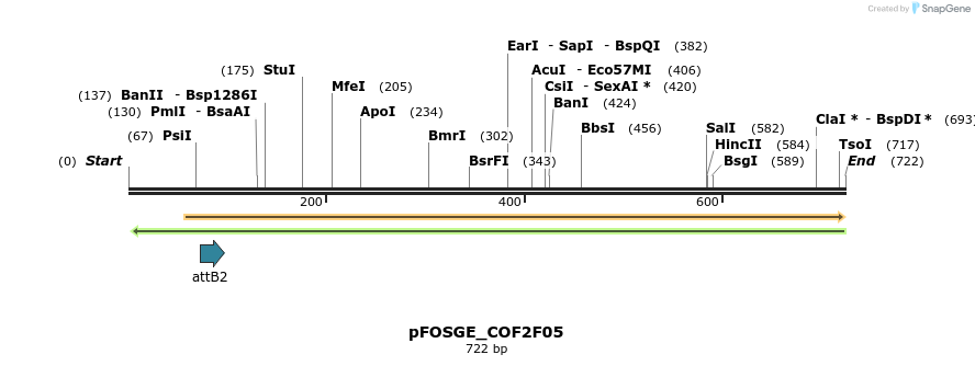 131679_map