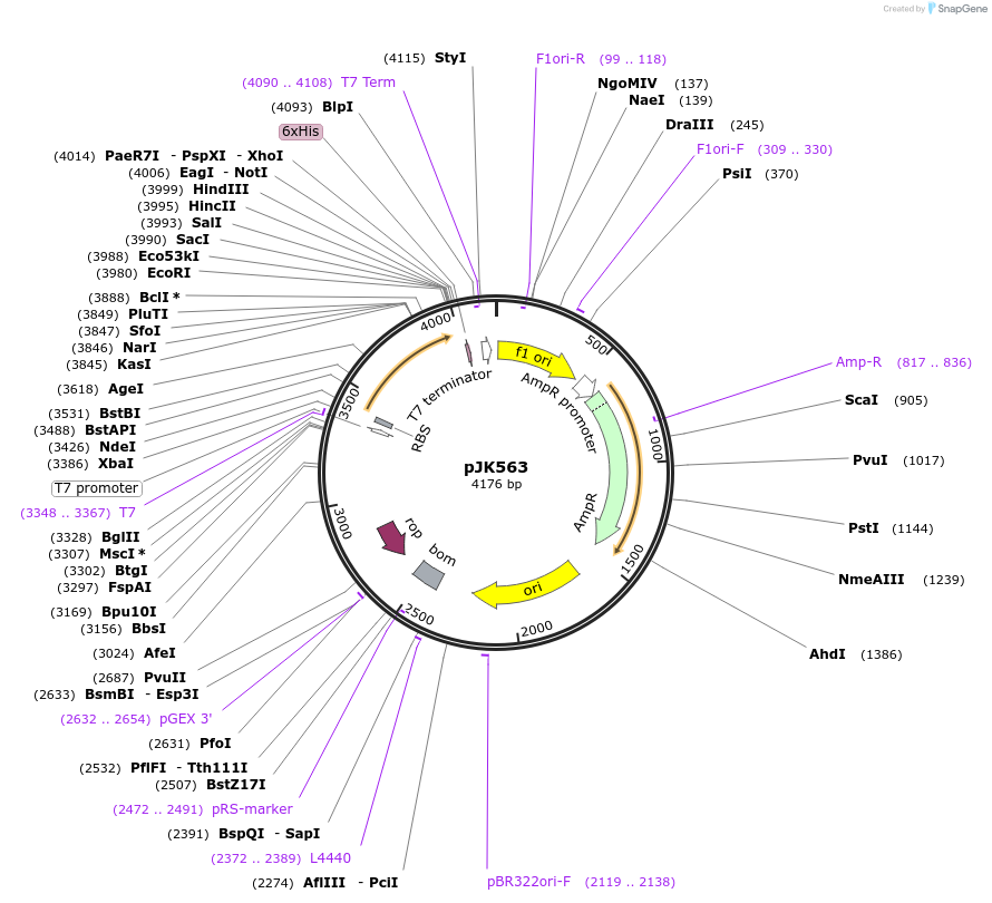 131681_map