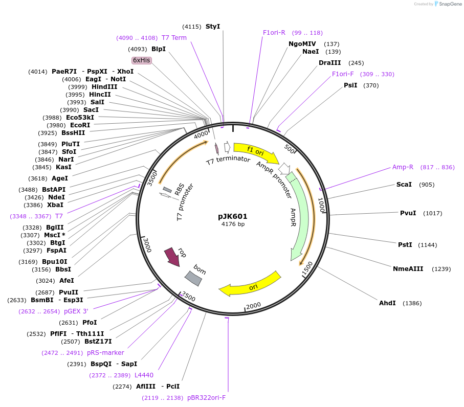 131683_map