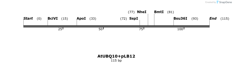 131689_map