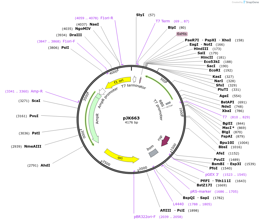 131690_map
