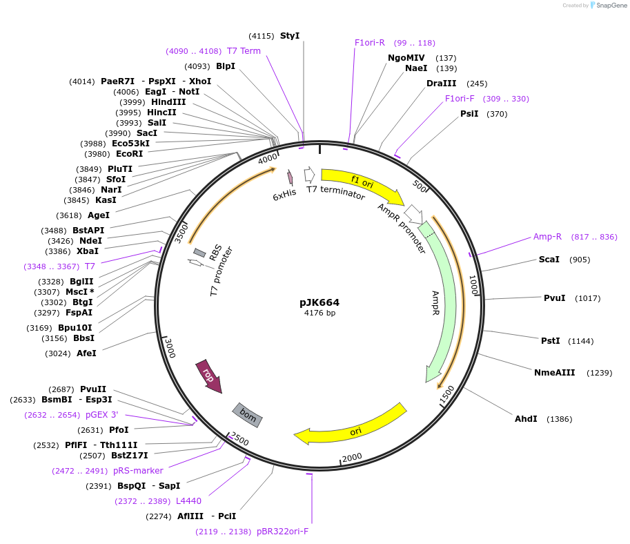 131691_map