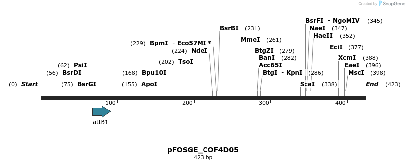 131695_map