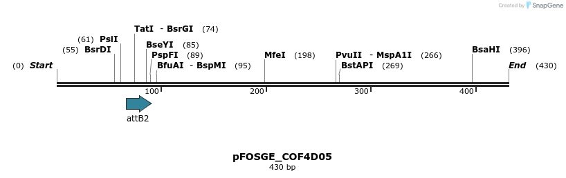 131696_map