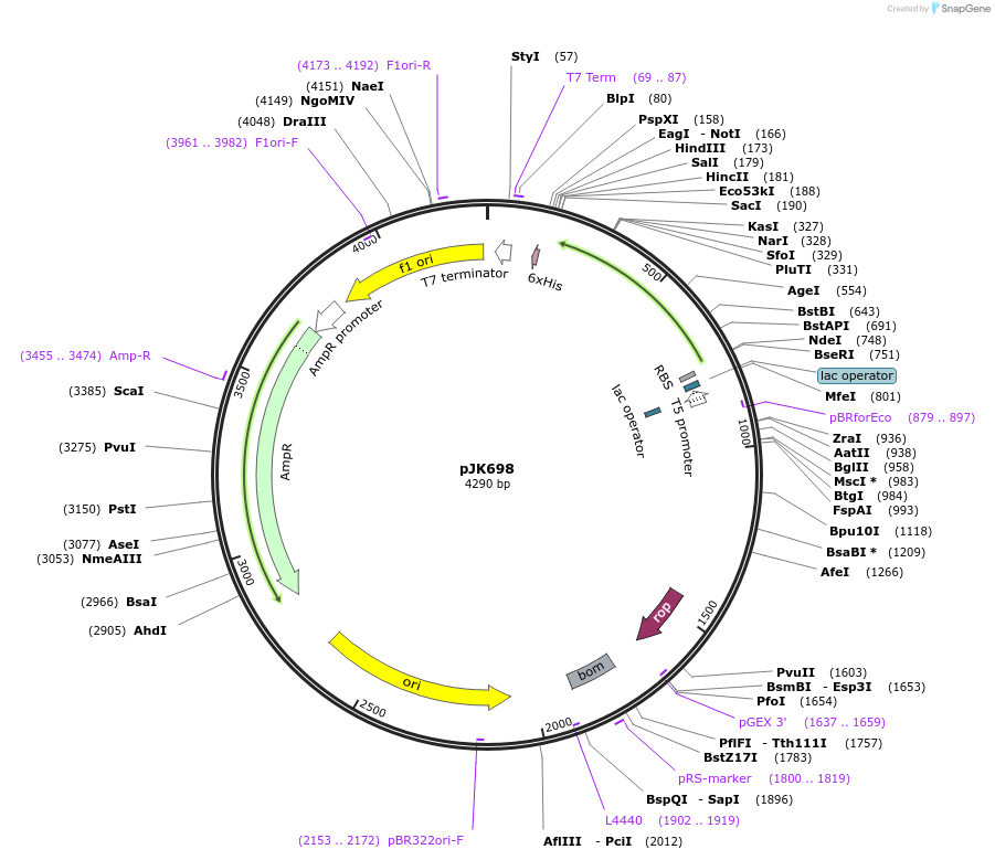 131697_map
