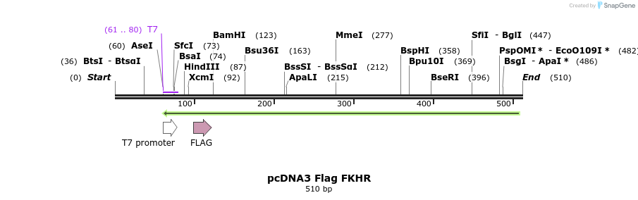 131701_map