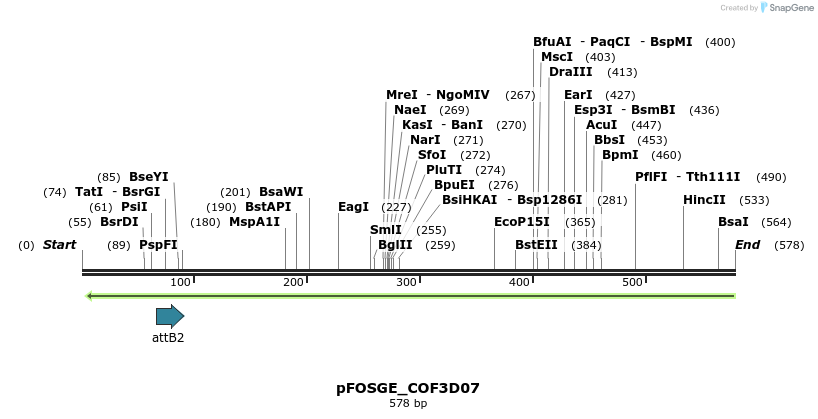 131702_map