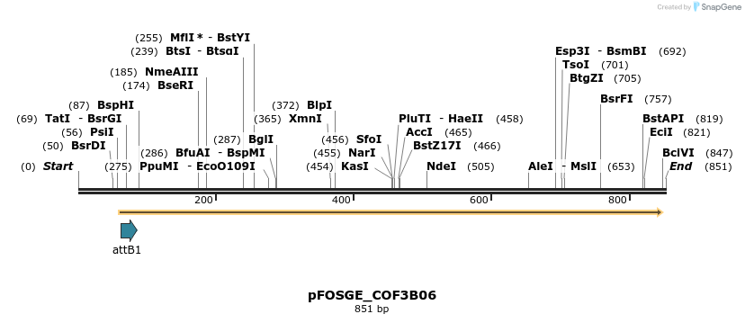131704_map