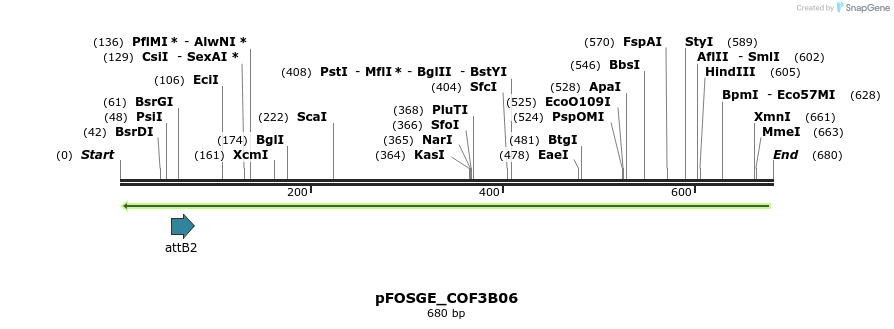 131705_map