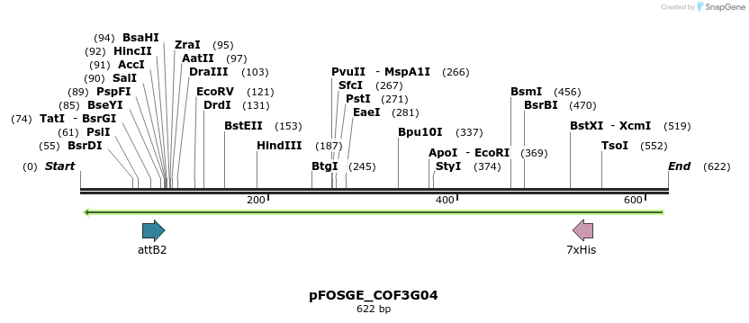 131707_map