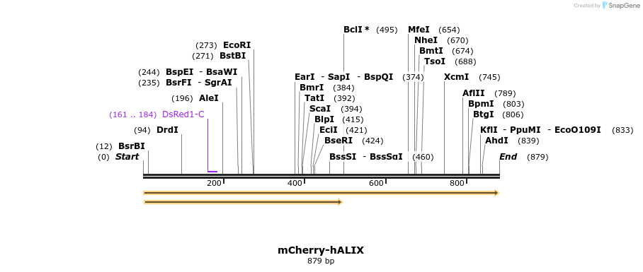 131714_map