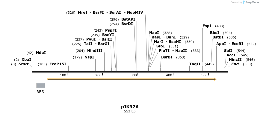 131717_map