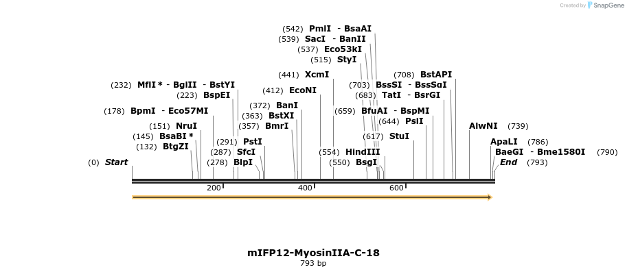 131720_map