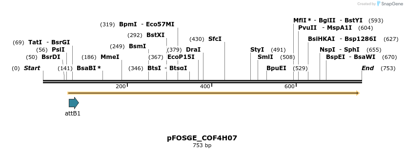 131725_map