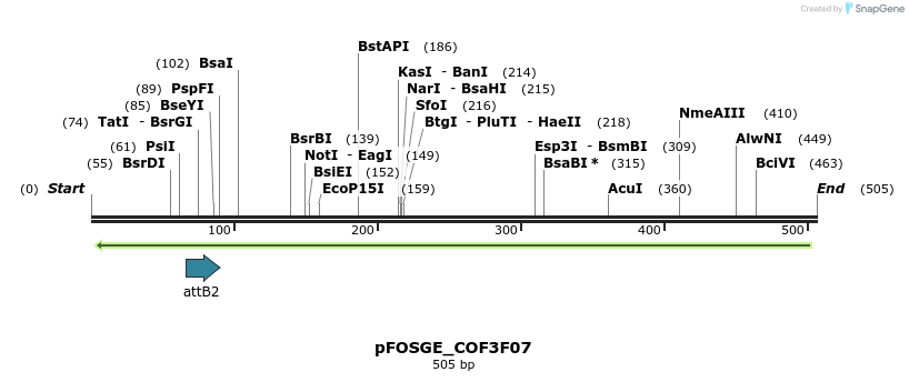 131734_map