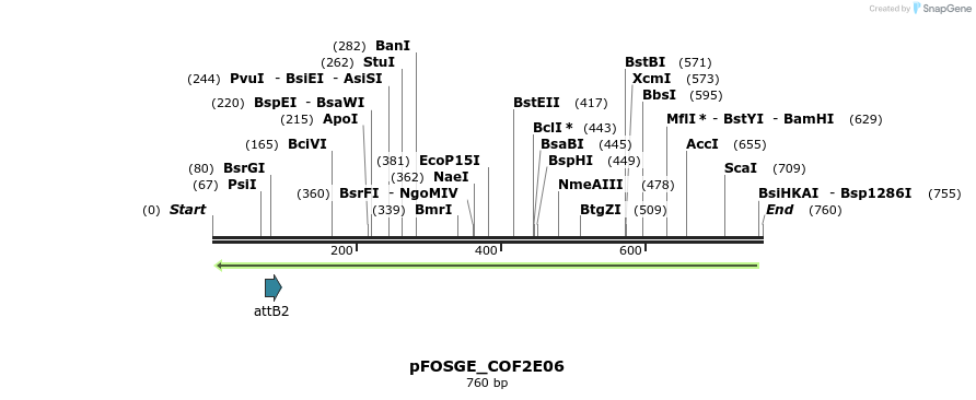 131736_map