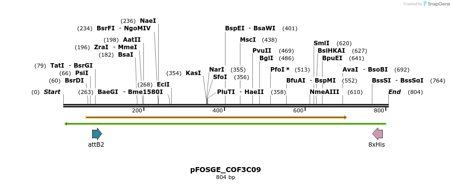 131739_map