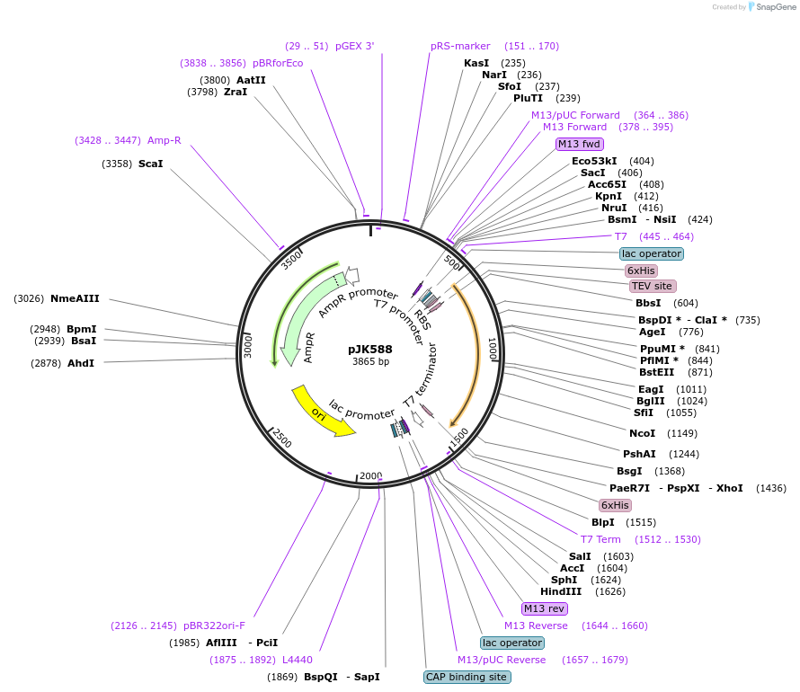 72270-plasmid-map-sequence-id-131740