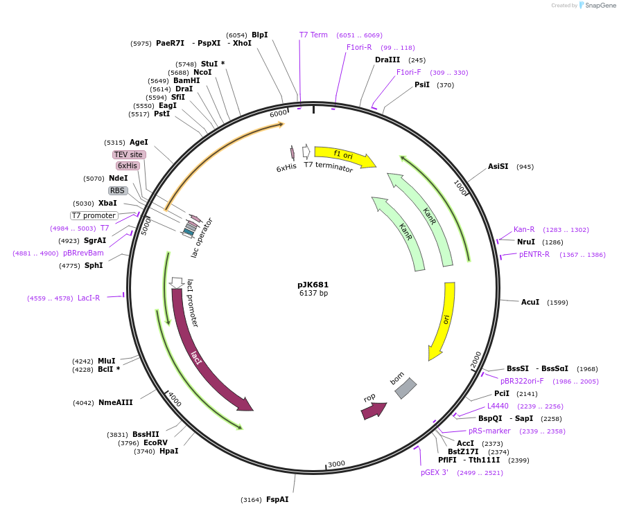 131742_map