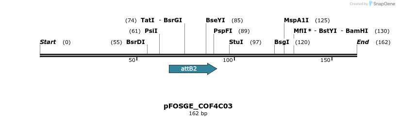 131744_map