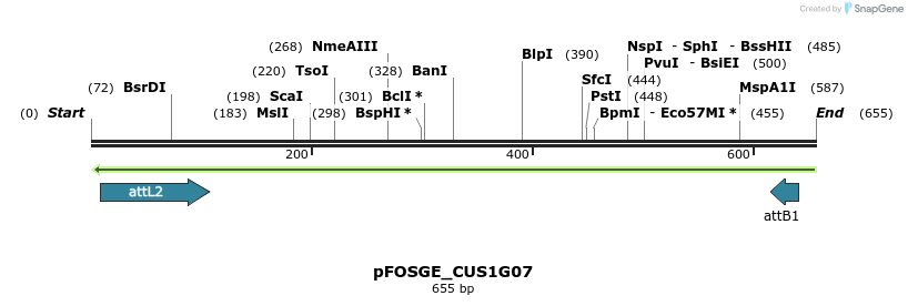 131745_map