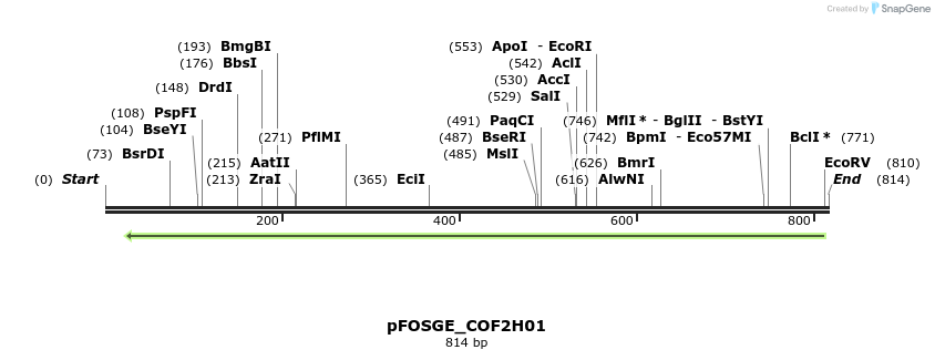 131749_map