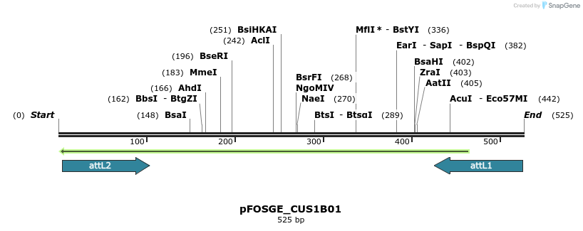 131750_map