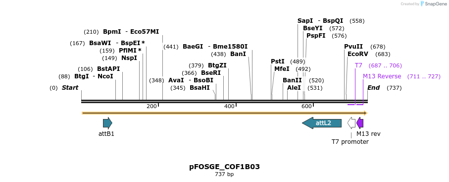 131760_map