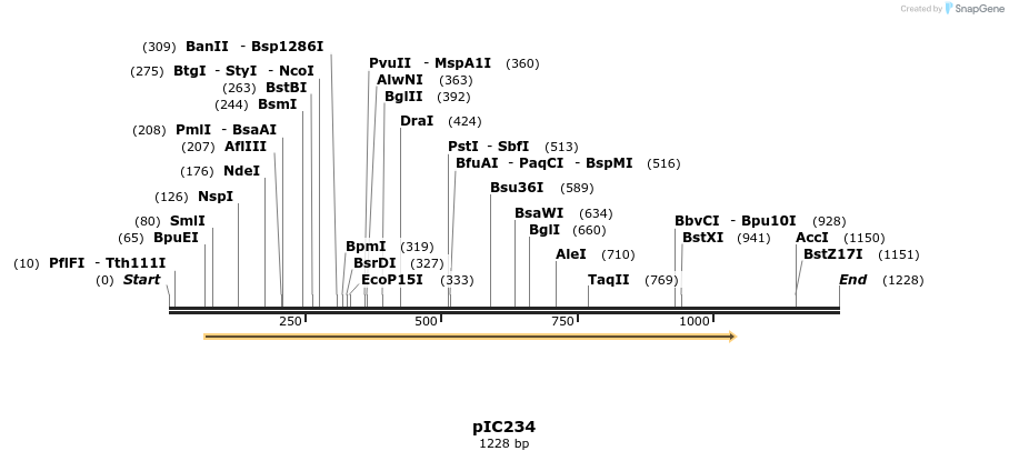 131762_map